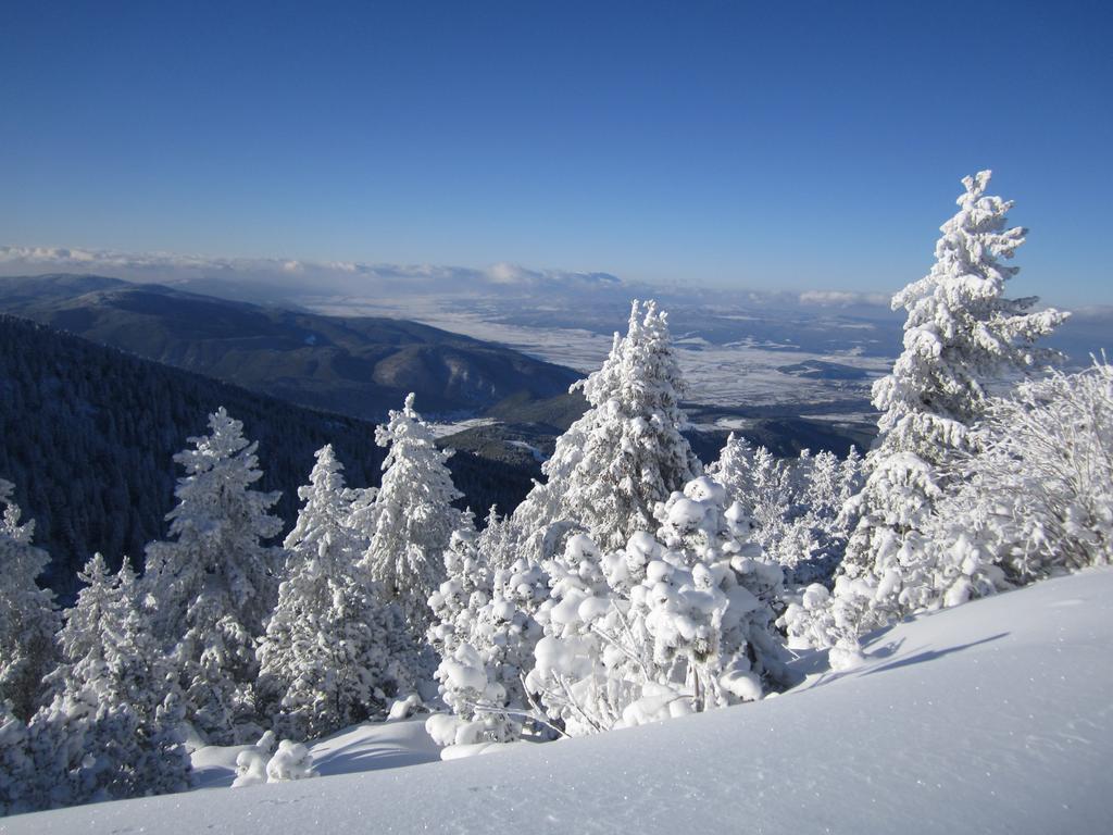Tes Royal Plaza Apartments Borovets Exterior photo
